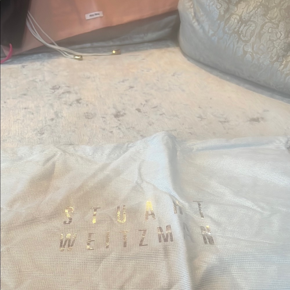 Stuart Weitzman gray dust bag